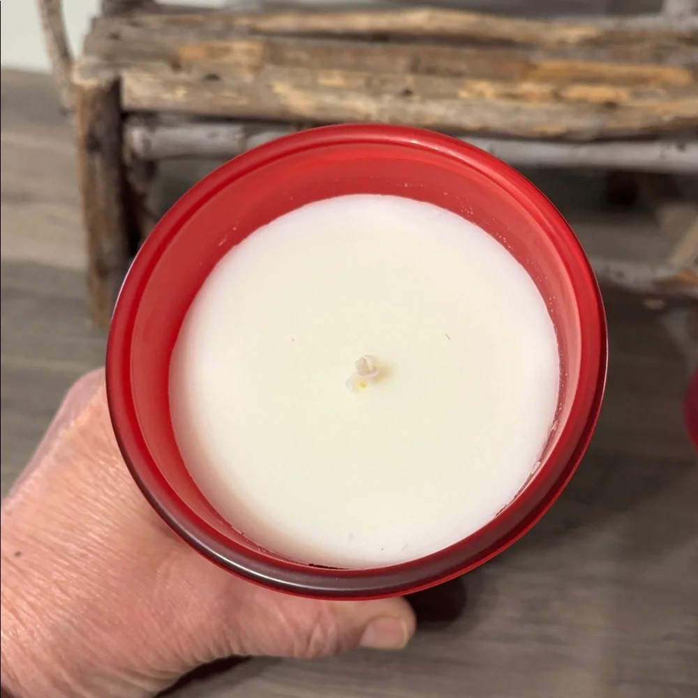 NWT DW HOME CHERRY FRESCA FREEZE COOLER LARGE CANDLE